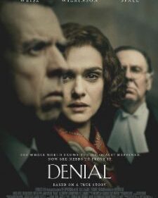 Denial box art