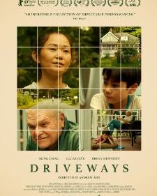 Driveways box art