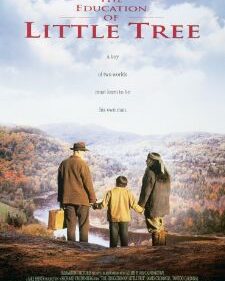 Education Of Little Tree, The box art
