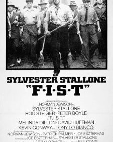 F.I.S.T. box art