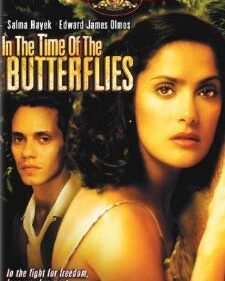 In The Time Of The Butterflies box art