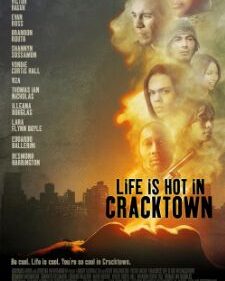 Life Is Hot In Cracktown box art