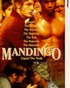 Mandingo box art