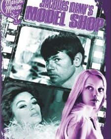 Model Shop box art