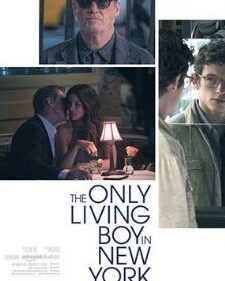 Only Living Boy In New York, The box art