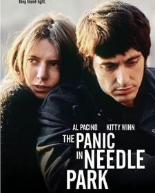 Panic In Needle Park, The box art