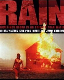 Rain box art