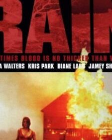 Rain (Scorsese) box art