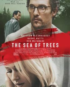 Sea Of Trees, The box art