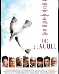Seagull, The box art