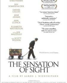 Sensation Of Sight, The box art