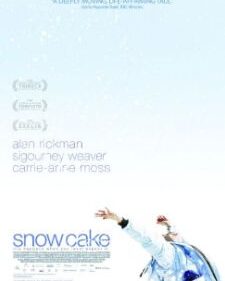 Snow Cake box art