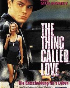 Thing Called Love, The box art