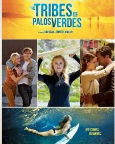 Tribes Of Palos Verdes, The box art