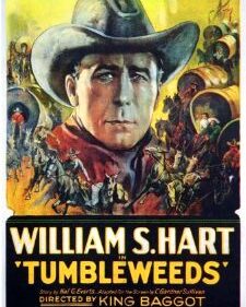 Tumbleweeds box art