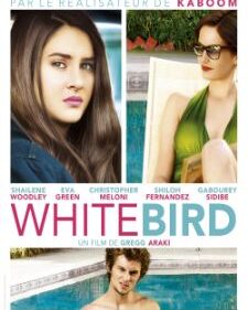 White Bird In A Blizzard box art