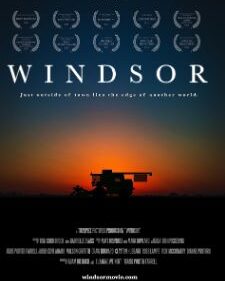 Windsor box art