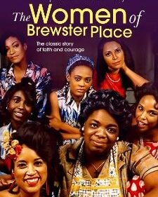 Women Of Brewster Place, The box art