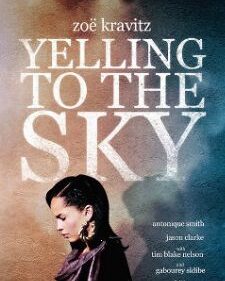 Yelling To The Sky box art