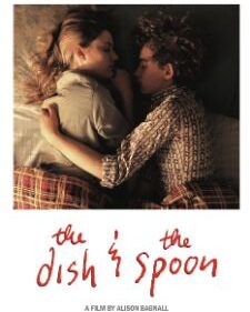 Dish & The Spoon, The box art