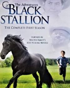 Adventures Of The Black Stallion S.1 box art