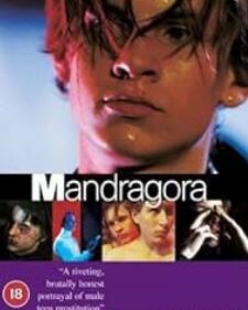 Mandragora box art
