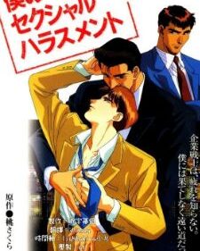 My Sexual Harassment (Animated Series) box art