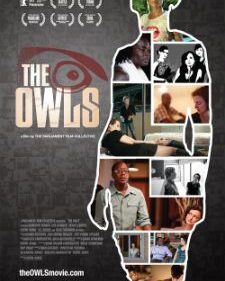 Owls, The box art