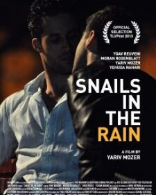Snails In The Rain box art