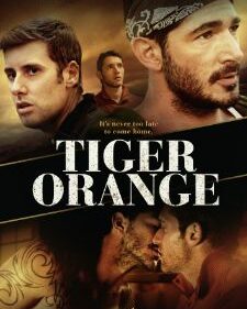 Tiger Orange box art