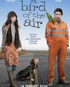Bird Of The Air, A box art