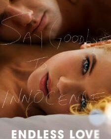 Endless Love box art