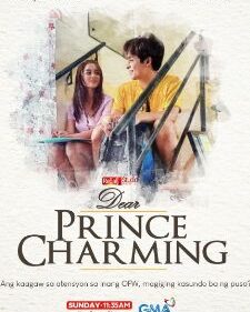 Prince Charming box art