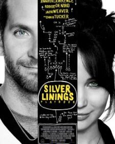 Silver Linings Playbook box art