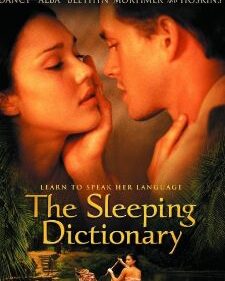 Sleeping Dictionary, The box art